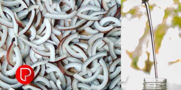 വെളിച്ചെണ്ണയുടെ വില റെക്കോർഡ് വേഗത്തില്‍ കുതിക്കുന്നു