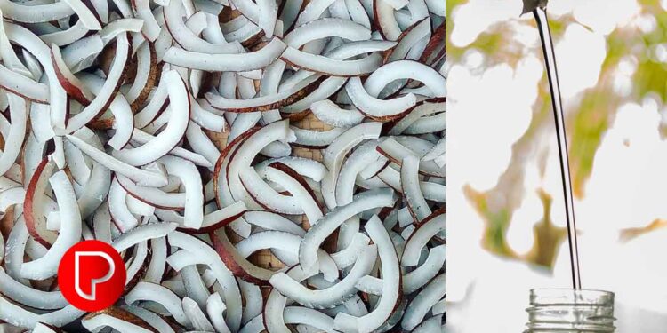 വെളിച്ചെണ്ണയുടെ വില റെക്കോർഡ് വേഗത്തില്‍ കുതിക്കുന്നു