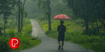 കനത്ത മഴ, മത്സ്യത്തിന്റെ കുറവ്, ലഭ്യമായതിനോ ഉയർന്ന വിലയും