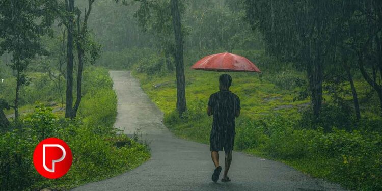 കനത്ത മഴ, മത്സ്യത്തിന്റെ കുറവ്, ലഭ്യമായതിനോ ഉയർന്ന വിലയും