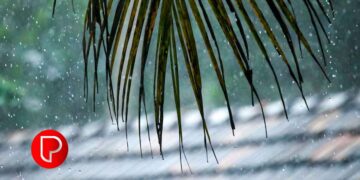 പൂവാറംതോട് മേഖലയില്‍ പുലി; ഭീതി വിട്ടൊഴിയാതെ മലയോര മേഖല