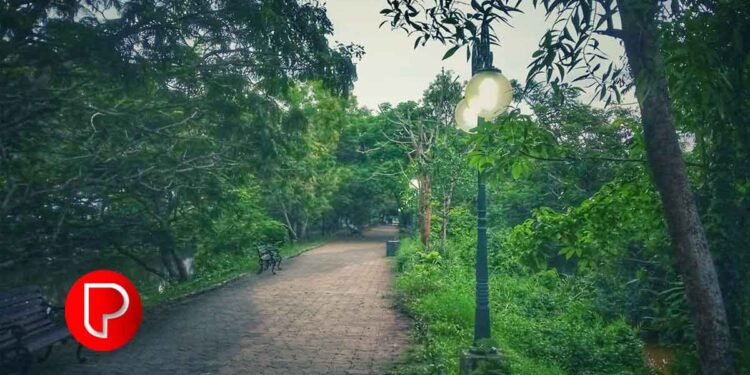 സരോവരം ബയോ പാർക്കിന്റെ മുഖം മാറുന്നു; നവീകരണ പ്രവർത്തികൾ അവസാനഘട്ടത്തിൽ