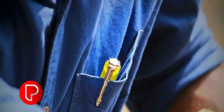 ചാത്തമംഗലം പ്രാദേശിക കോഴിവളർത്തൽ കേന്ദ്രത്തിൽ ഇലക്‌ട്രീഷ്യൻ കൂടിക്കാഴ്ച 29-ന്