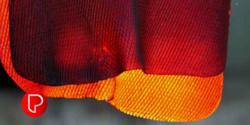 റബ്ബര്‍ പുനര്‍നടീലിന് ഹെക്ടറിന് 75,000 രൂപ സഹായം, നേട്ടം ഒരുലക്ഷം റബ്ബര്‍ കര്‍ഷകര്‍ക്ക്