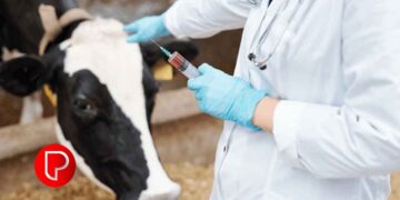 കോഴിക്കോട് ജില്ലയിൽ വെറ്ററിനറി സര്‍ജന്‍ നിയമനം