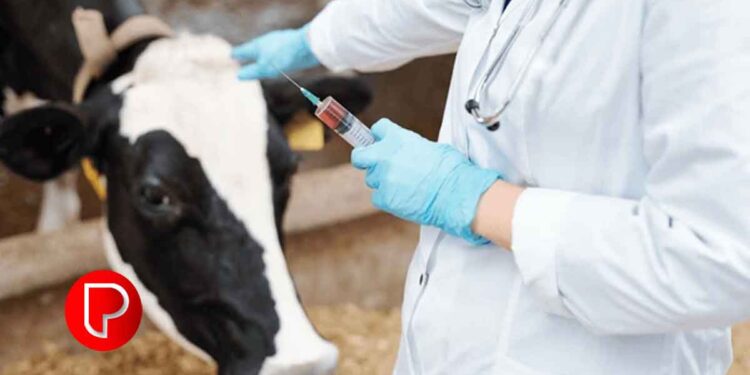 കോഴിക്കോട് ജില്ലയിൽ വെറ്ററിനറി സര്‍ജന്‍ നിയമനം