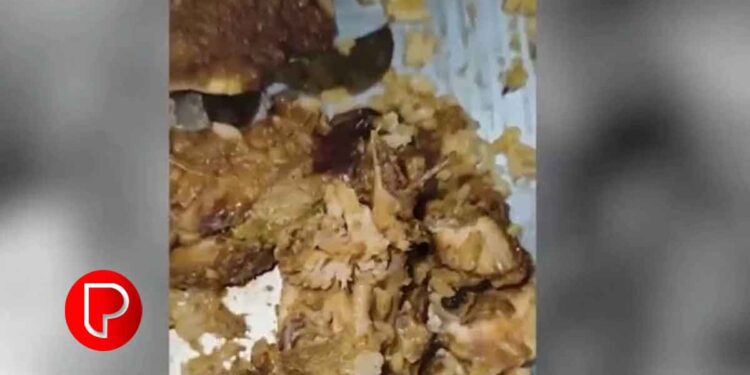 ഹോട്ടലിൽ നിന്നും വാങ്ങിയ ബിരിയാണിയിൽ പുഴുവിനെ കണ്ടെത്തി
