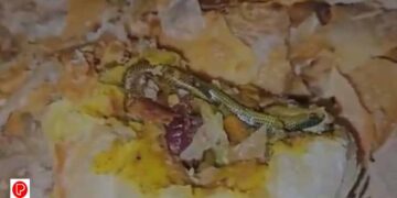 കുട്ടികൾക്കായി യുവതി വാങ്ങിയ പഫ്സ് ; തുറന്ന് നോക്കിയപ്പോൾ ചത്ത പാമ്പ്