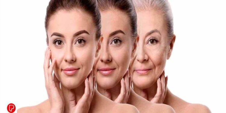 മുഖത്ത് പ്രായക്കൂടുതല്‍ തോന്നിക്കാതിരിക്കാന്‍ ഭക്ഷണത്തിൽ എന്തൊക്കെ ശ്രദ്ധിക്കണം