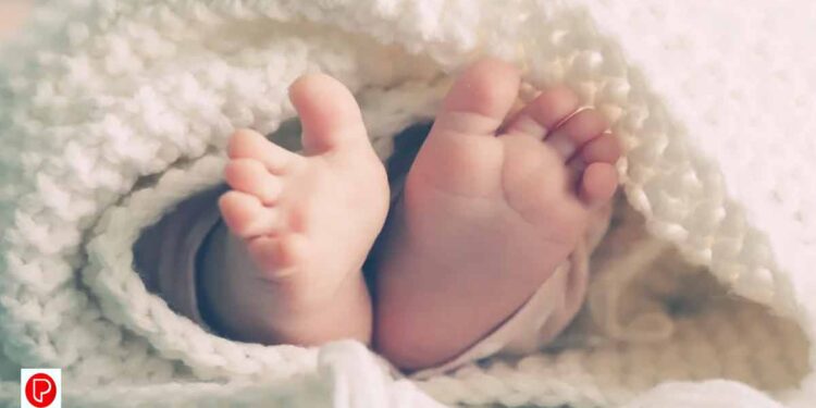 പിഞ്ചുകുഞ്ഞിനെ ലൈംഗികമായി പീഡിപ്പിച്ച 15കാരൻ അറസ്റ്റിൽ