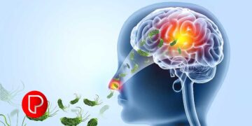 അമീബിക്‌ മസ്തിഷ്കജ്വരം: രണ്ട് കുട്ടികൾ ആശുപത്രി വിട്ടു