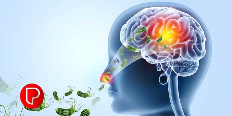 അമീബിക്‌ മസ്തിഷ്കജ്വരം: രണ്ട് കുട്ടികൾ ആശുപത്രി വിട്ടു