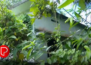 ഉദ്ഘാടനം കഴിഞ്ഞിട്ട് 10 വര്ഷം; പെരുമണ്ണ ഗവ. ആയുർവേദ ആശുപത്രി ഇപ്പോഴും പ്രവർത്തനക്ഷമമല്ല