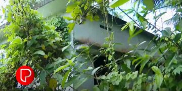 ഉദ്ഘാടനം കഴിഞ്ഞിട്ട് 10 വര്ഷം; പെരുമണ്ണ ഗവ. ആയുർവേദ ആശുപത്രി ഇപ്പോഴും പ്രവർത്തനക്ഷമമല്ല