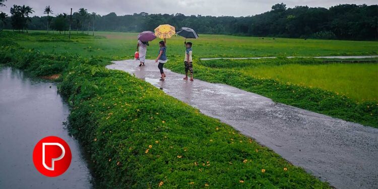 തിരുവോണത്തെ വരവേൽക്കാൻ മലയാളികൾ; ഇന്ന് ഉത്രാടപ്പാച്ചിൽ
