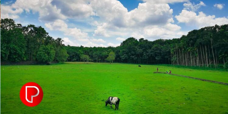 മില്‍മ ബോര്‍ഡ് യോഗം ഇന്ന്; പാല്‍ വില വര്‍ധിപ്പിച്ചേക്കും