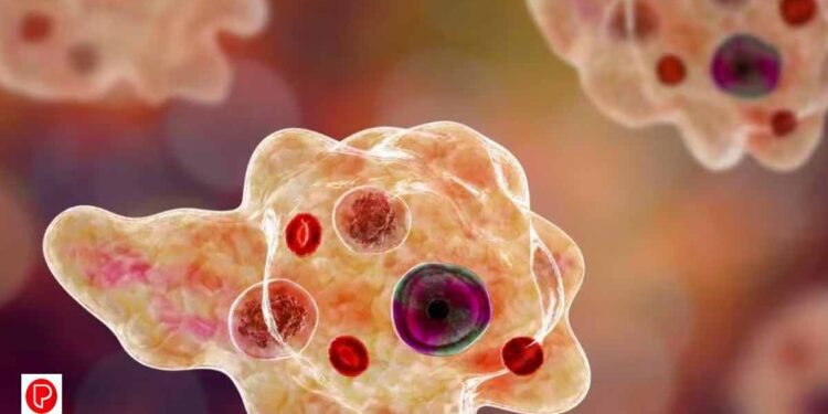 അമീബിക് മസ്തിഷ്ക ജ്വരം ബാധിച്ച് ചികിത്സയിലായിരുന്ന പതിനൊന്നു വയസ്സുകാരിക്ക് രോഗമുക്തി