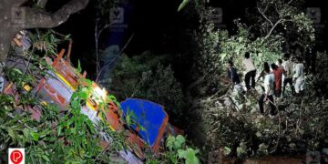 മാനന്തവാടിയിൽ 100 അടി താഴ്ചയിലേക്ക് ലോറി വീണു ; ഡ്രൈവർക്ക് ദാരുണാന്ത്യം