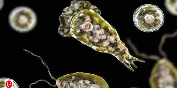 സംസ്ഥാനത്ത് വീണ്ടും അമീബിക് മസ്തിഷ്ക ജ്വരം ബാധിച്ച് മരണം