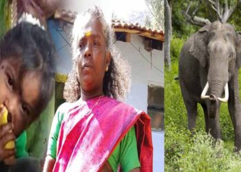 വാൽപ്പാറയിൽ 3 വയസ്സുകാരിക്കും മുത്തശ്ശിക്കും ദാരുണാന്ത്യം