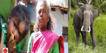 വാൽപ്പാറയിൽ 3 വയസ്സുകാരിക്കും മുത്തശ്ശിക്കും ദാരുണാന്ത്യം