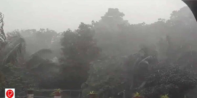 വീണ്ടും അതിശക്തമഴ; അഞ്ച് ദിവസം ഇടിമിന്നലോടു കൂടിയ മഴയ്ക്ക് സാധ്യത