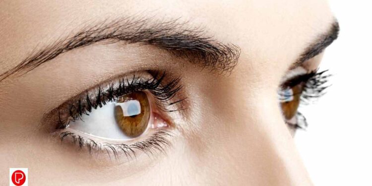 കണ്ണുകളുടെ ആരോഗ്യത്തിനായി കഴിക്കേണ്ടത്