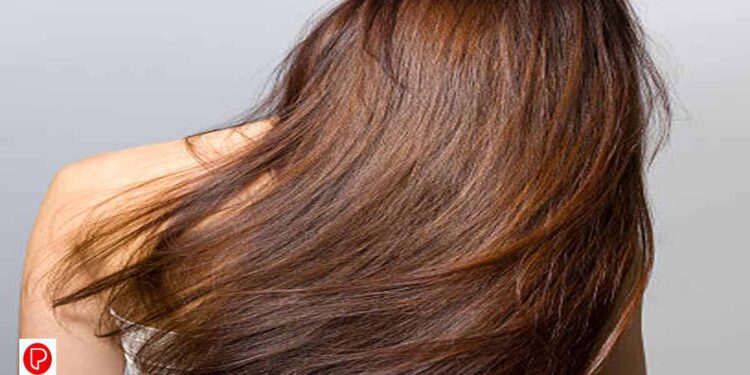 തലമുടിയുടെ ആരോഗ്യത്തിന് ഒഴിവാക്കേണ്ട ഭക്ഷണങ്ങള്‍