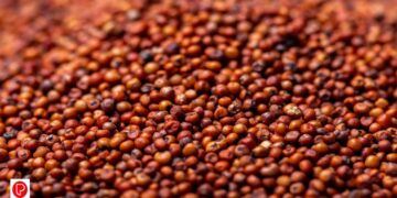 റാ​ഗിയുടെ ആരോ​ഗ്യ​ഗുണങ്ങൾ