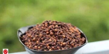 ദിവസവും ഗ്രാമ്പൂ കഴിക്കുന്നതുകൊണ്ടുള്ള ഗുണങ്ങൾ