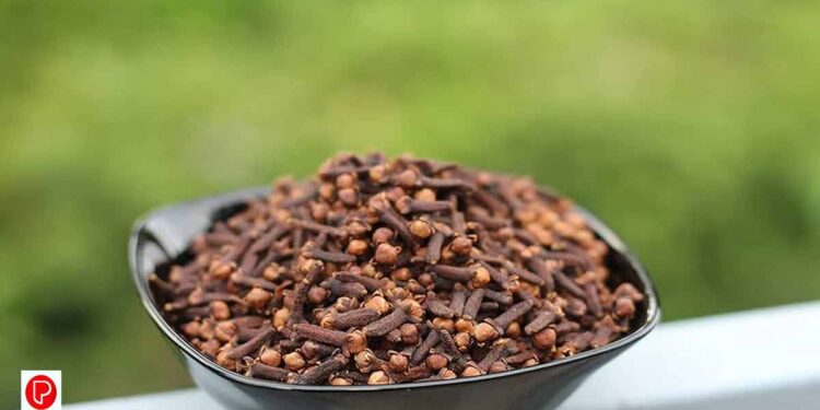 ദിവസവും ഗ്രാമ്പൂ കഴിക്കുന്നതുകൊണ്ടുള്ള ഗുണങ്ങൾ