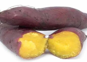 മധുരക്കിഴങ്ങ് കഴിക്കുന്നതുകൊണ്ടുള്ള ആരോഗ്യഗുണങ്ങൾ