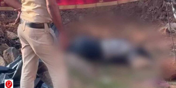 ചിത്രപ്രിയയുടെ മരണം കൊലപാതകം ; ആൺസുഹൃത്ത് അലൻ കുറ്റസമ്മതം നടത്തി