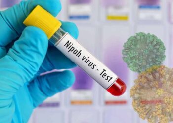 ബംഗാളിൽ വീണ്ടും നിപ്പ; ഏഷ്യൻ രാജ്യങ്ങളിൽ ജാഗ്രതാ നിർദേശം, കേരളവും സൂക്ഷിക്കണം