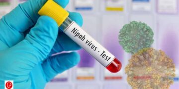 ബംഗാളിൽ വീണ്ടും നിപ്പ; ഏഷ്യൻ രാജ്യങ്ങളിൽ ജാഗ്രതാ നിർദേശം, കേരളവും സൂക്ഷിക്കണം