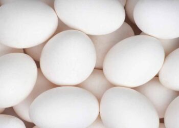 പച്ച മുട്ട കഴിക്കുന്നത് നല്ലതാണോ ?