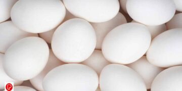 പച്ച മുട്ട കഴിക്കുന്നത് നല്ലതാണോ ?