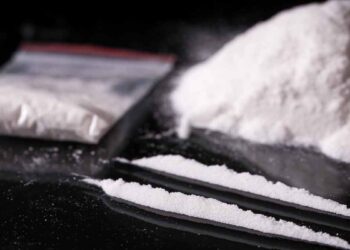 31.5 കിലോഗ്രാം കൊക്കെയ്ൻ പിടികൂടി ;  ഇന്ത്യക്കാരായ 22 കപ്പൽ ജീവനക്കാർ അറസ്റ്റിൽ