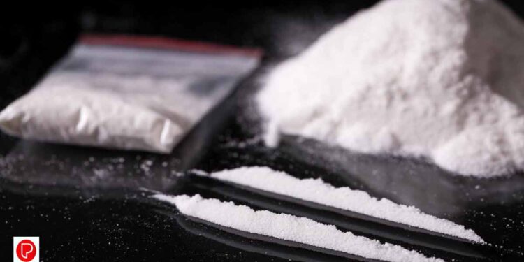 31.5 കിലോഗ്രാം കൊക്കെയ്ൻ പിടികൂടി ;  ഇന്ത്യക്കാരായ 22 കപ്പൽ ജീവനക്കാർ അറസ്റ്റിൽ