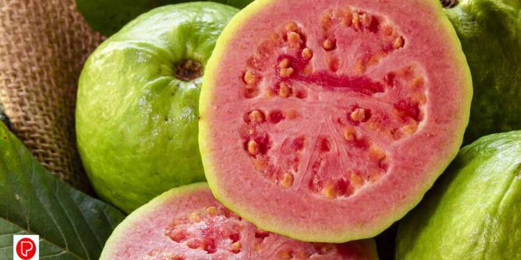 ശരീരഭാരം കുറയ്ക്കാനും പ്രമേഹം നിയന്ത്രിക്കാനും പേരയ്ക്ക