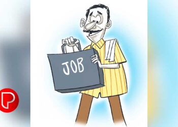 മികച്ച വരുമാനം നാട്ടിൽ തന്നെ, ഇനി യുവാക്കൾ ജോലി തേടി നാടുവിടേണ്ട, തൊഴിലുറപ്പാക്കി സംസ്ഥാന സർക്കാർ