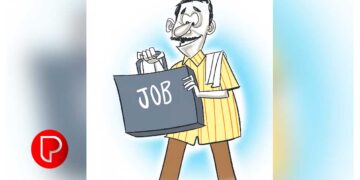 മികച്ച വരുമാനം നാട്ടിൽ തന്നെ, ഇനി യുവാക്കൾ ജോലി തേടി നാടുവിടേണ്ട, തൊഴിലുറപ്പാക്കി സംസ്ഥാന സർക്കാർ