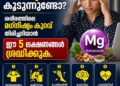 സ്ട്രെസ് കൂടുന്നുണ്ടോ? ശരീരത്തിലെ മഗ്നീഷ്യം കുറവ് തിരിച്ചറിയാൻ ഈ 5 ലക്ഷണങ്ങൾ ശ്രദ്ധിക്കുക.