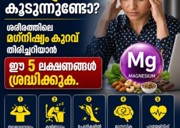 സ്ട്രെസ് കൂടുന്നുണ്ടോ? ശരീരത്തിലെ മഗ്നീഷ്യം കുറവ് തിരിച്ചറിയാൻ ഈ 5 ലക്ഷണങ്ങൾ ശ്രദ്ധിക്കുക.