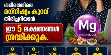 സ്ട്രെസ് കൂടുന്നുണ്ടോ? ശരീരത്തിലെ മഗ്നീഷ്യം കുറവ് തിരിച്ചറിയാൻ ഈ 5 ലക്ഷണങ്ങൾ ശ്രദ്ധിക്കുക.