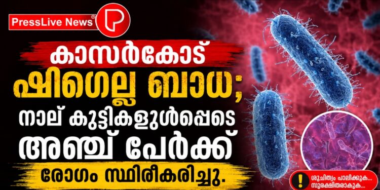 കാസർകോട് ഷിഗെല്ല ബാധ; നാല് കുട്ടികളുൾപ്പെടെ അഞ്ച് പേർക്ക് രോഗം സ്ഥിരീകരിച്ചു.