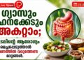 ഗ്യാസും ദഹനക്കേടും അകറ്റാം; കുടലിന്റെ ആരോഗ്യം മെച്ചപ്പെടുത്താൻ ഭക്ഷണത്തിൽ വരുത്തേണ്ട മാറ്റങ്ങൾ.