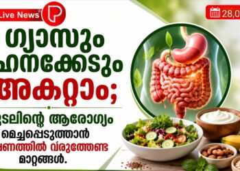 ഗ്യാസും ദഹനക്കേടും അകറ്റാം; കുടലിന്റെ ആരോഗ്യം മെച്ചപ്പെടുത്താൻ ഭക്ഷണത്തിൽ വരുത്തേണ്ട മാറ്റങ്ങൾ.