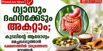 ഗ്യാസും ദഹനക്കേടും അകറ്റാം; കുടലിന്റെ ആരോഗ്യം മെച്ചപ്പെടുത്താൻ ഭക്ഷണത്തിൽ വരുത്തേണ്ട മാറ്റങ്ങൾ.