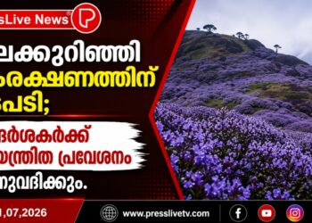 നീലക്കുറിഞ്ഞി സംരക്ഷണത്തിന് നടപടി; സന്ദർശകർക്ക് നിയന്ത്രിത പ്രവേശനം അനുവദിക്കും.